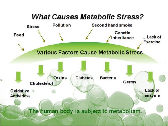 Causes of Metabolic Syndrome